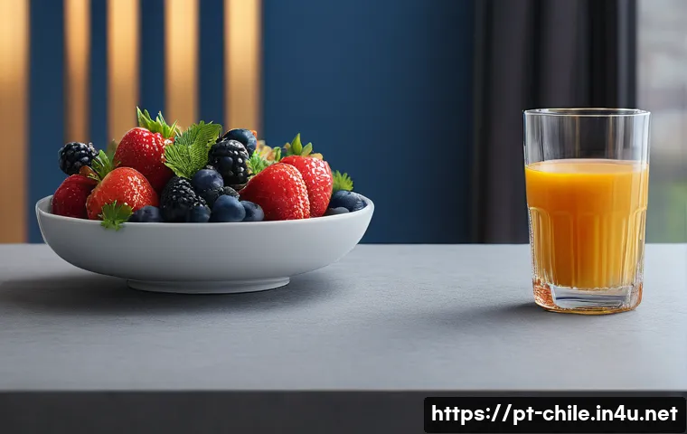 칠레와 스페인 식민지 역사 관련 이미지 1