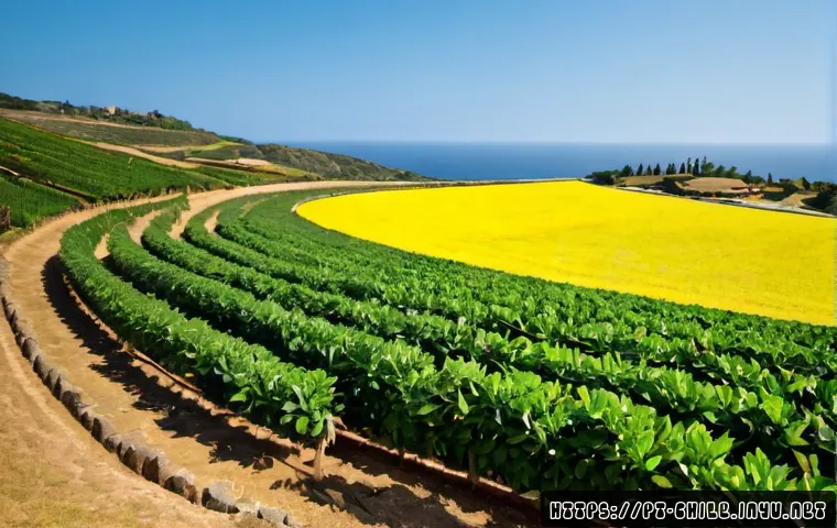 Chile, Peru, Bolívia e Argentina: diferenças culturais para planear uma viagem mais consciente 4 칠레와 인접국 문화 차이 관련 이미지 2